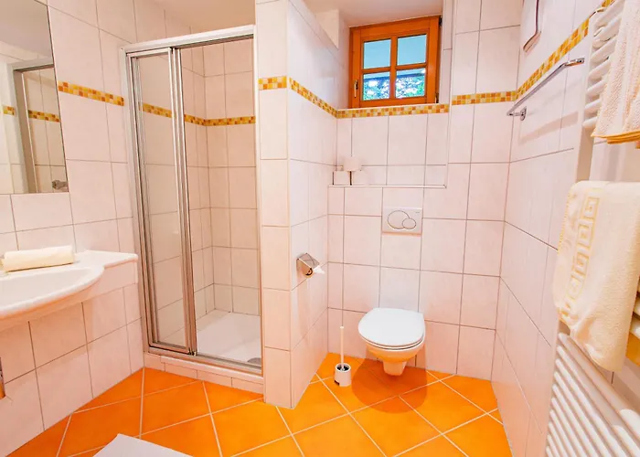 아파트 Soldanella 8 By Alpenidyll 람자우 암 다흐스타인